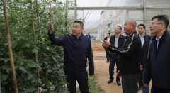 细领会“稻菜轮做”、“立体种植”等特色模式